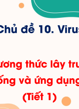 Bài 22. Phương thức lây truyền, cách phòng chống và ứng dụng của virus (Tiết 1)
